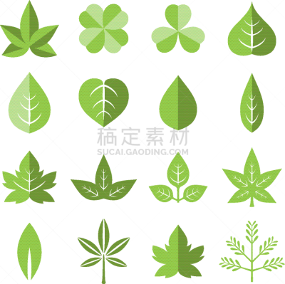 叶子,图标集,分离着色,白色,自然,季节,常春藤,秋天,收集,离开