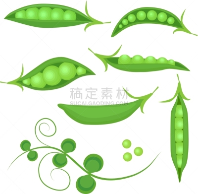分离着色,清新,豌豆,农业,有机食品,自然,白色背景,生食,一模一样,膳食