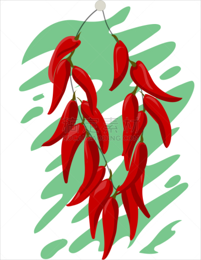 辣椒,绘画插图,秋天,农作物,矢量,白色背景,蔬菜,热,健康保健,清新