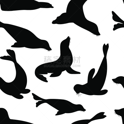 黑色,动物,四方连续纹样,矢量,卡通,可爱的,式样,绘画插图,海豹,平坦的