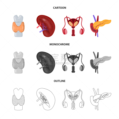 科学,生物学,标志,泌尿系统,膀胱,内分泌系统,人,背的，脊的,身体受伤