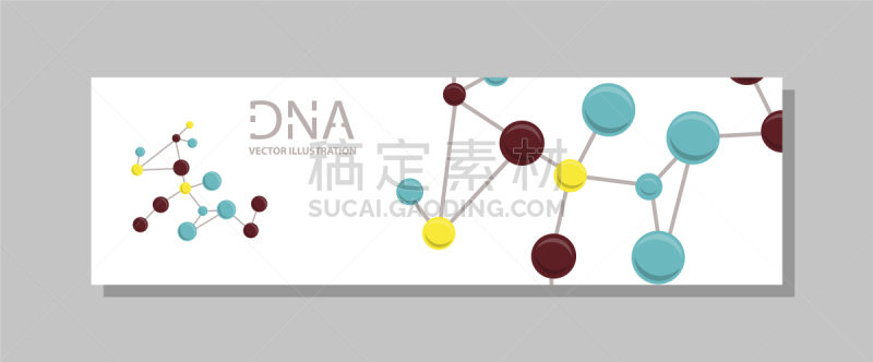 螺线,遗传研究,脱氧核糖核酸,科学,卷着的,药,传单,重复,考试,弯曲