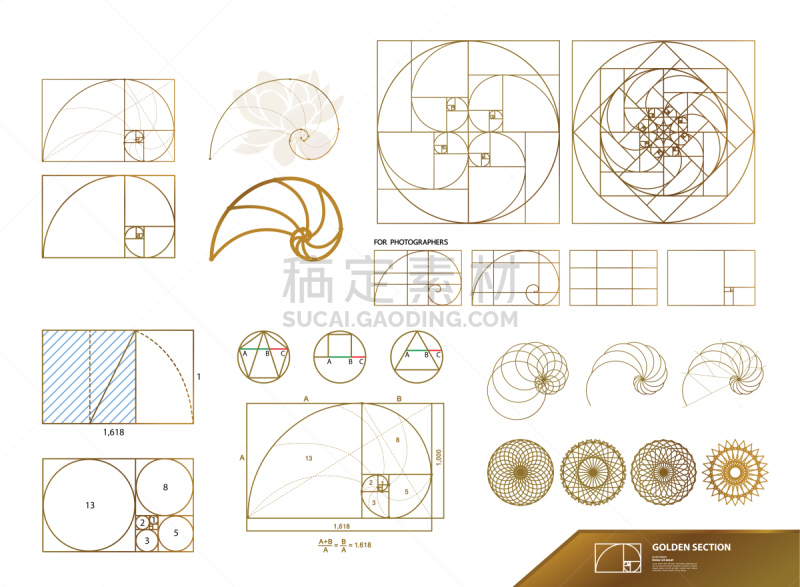 绘画插图,黄金分割,矢量,创造力,螺线,部分,几何形状,比例,平衡,加利福尼亚