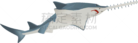 鱼类,海洋生命,分离着色,矢量,锯鳐,野生动物,图像,海洋,动物
