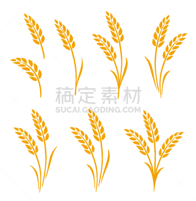 动物手,金色,全麦,农业,素食,大麦,面包,食品,熟的,绘制