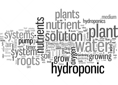 hydroponic plant systems what no dirt