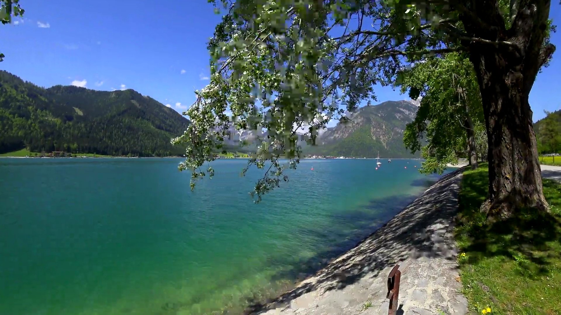 春天，奥地利泰罗尔的亚琛西湖(Lake Aachensee)