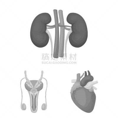 人,计算机图标,单色调,分离着色,品牌名称,人类的生殖器官,皮肤,矢量,布置