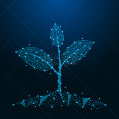 未来,秧苗,种子,叶子,植物,泥土,农业,抽象,树,种植