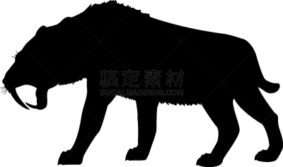 马刀,已灭绝生物,虎,剑齿虎,分离着色,地质学,野生动物,古生物学,图像,剪影