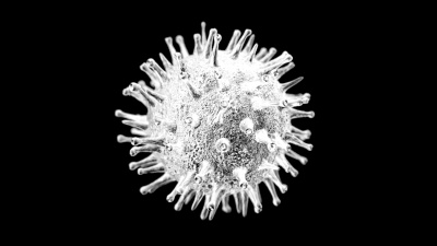 猪流感H1N1病毒( /Loop)