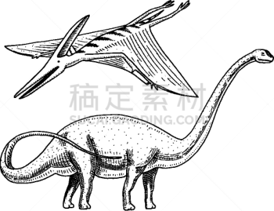 板龙,腕龙,恐龙,分离着色,轮廓,白色,自然,白垩系,野生动物,古生物学