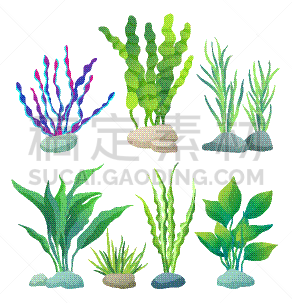 彩色图片,藻类,海洋,水族馆,字体,植物,海底,水下,绿色,卷着的