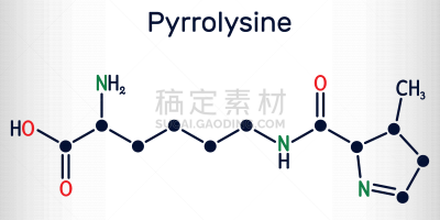 分子,蛋白质,公式,古老的,里拉符号,氨基酸,互联网,扁平化设计,有机食品,设计