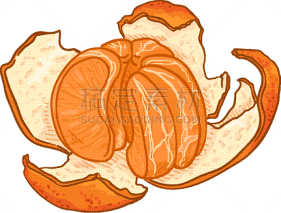 cartoon tangerine slices with peel