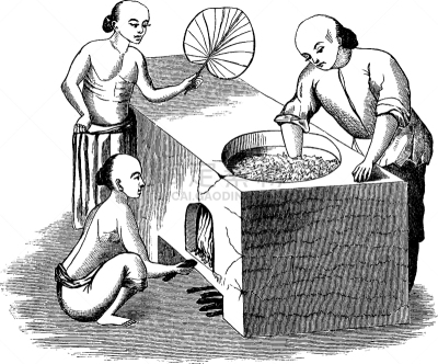茶叶,白色,矢量,图像,雕刻图像,黑色,叶子,复古