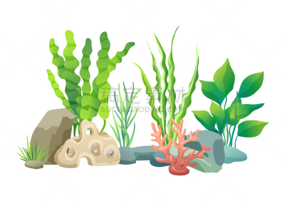 绘画插图,海洋,矢量,绿色,植物群,华丽的,常春藤,清新,野生动物,枝繁叶茂