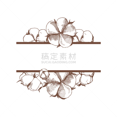 矢量,棉花,边框,生物学,农业,球体,自然界的状态,纺织品,有机农庄,棉
