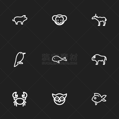 轮廓,数字9,动物园,计算机图标,宠物,智慧,海产,野生动物,食品,图像
