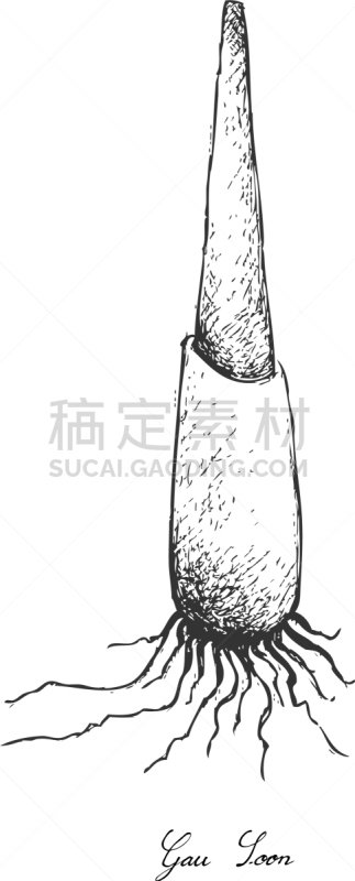 动物手,白色背景,白色,蔬菜,有机食品,自然,素食,精神振作,生食,绘制