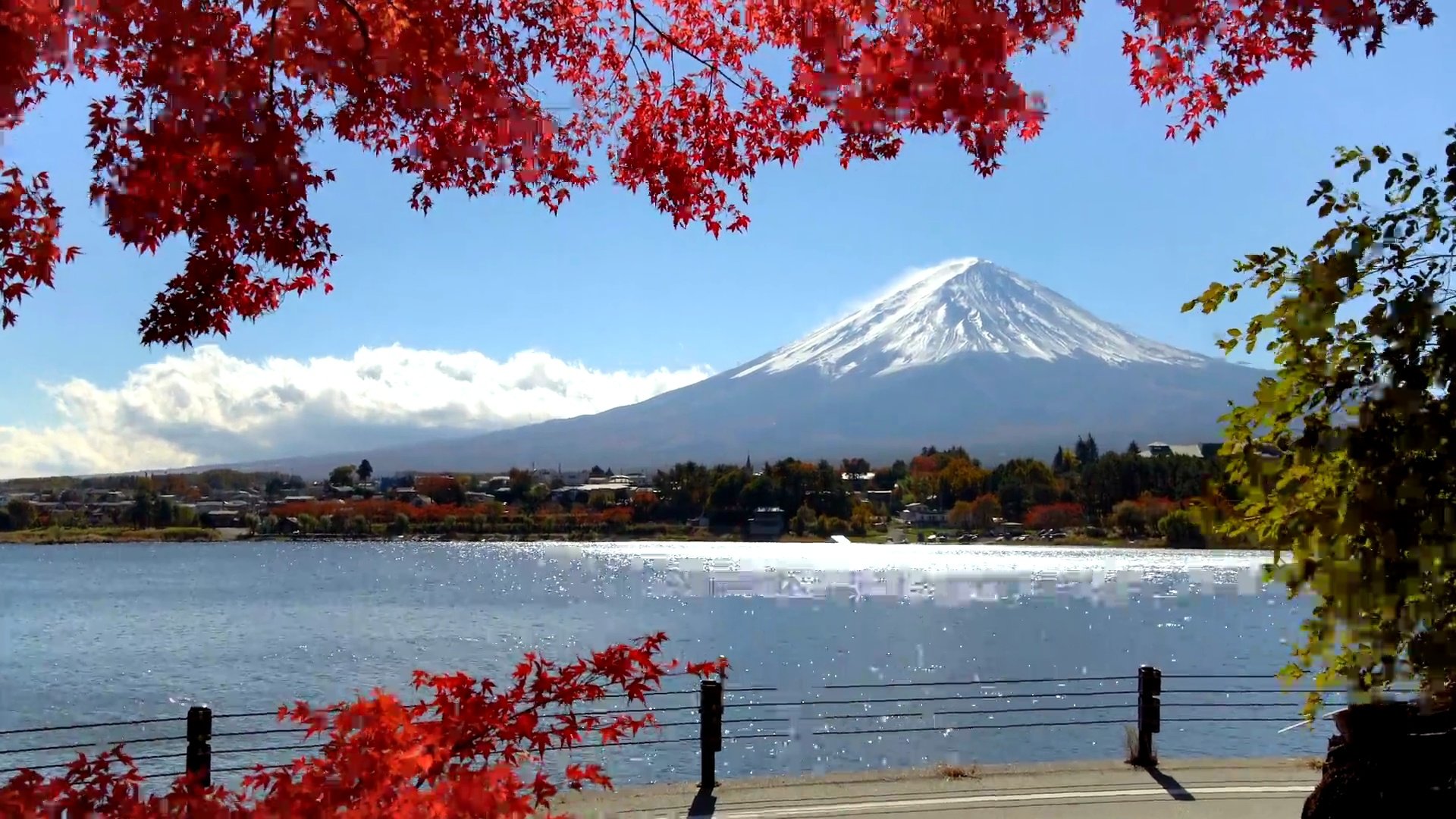 日本秋色富士山