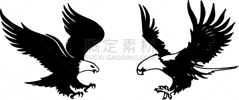 鹰,白色背景,图标,运动,野生动物,翅膀,老鹰,站