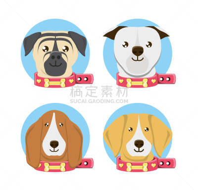 可爱的,狗,式样,宠物,自然,纯种犬,机敏,肖像,图像,巴哥犬