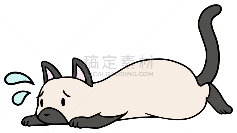 矢量,绘画插图,猫,惊骇,十二生肖,恐怖,简单,动物,宠物商店