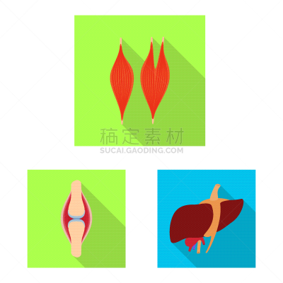 健康保健,人,计算机图标,分离着色,生物学,图像,植物群,收集,设计,保护