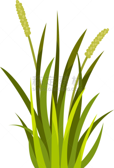 草,拥挤的,清新,环境,植物群,枝繁叶茂,自然美,尖的,植物,写实