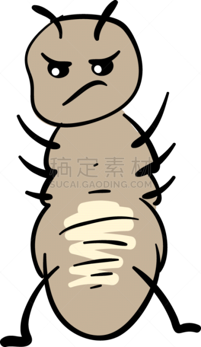 虱子,不高兴的,白色背景,头的（医学词汇）,交通,吸血动物,甲虫,头发,动物,人虱