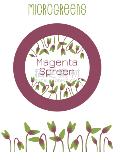 microgreens magenta spreen seed packaging design