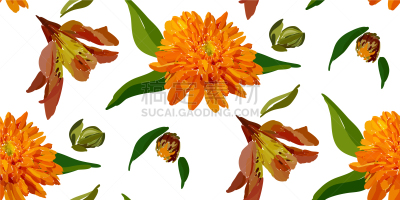 百合花,仅一朵花,四方连续纹样,夏天,Lily Flower,绿色,纺织品,式样,可爱的,花