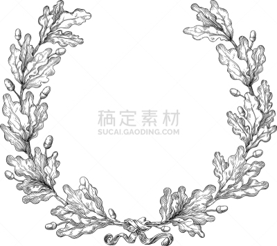 橡树,花环,分离着色,华丽的,精工制品,高雅,有叶的,典礼,图像,枝