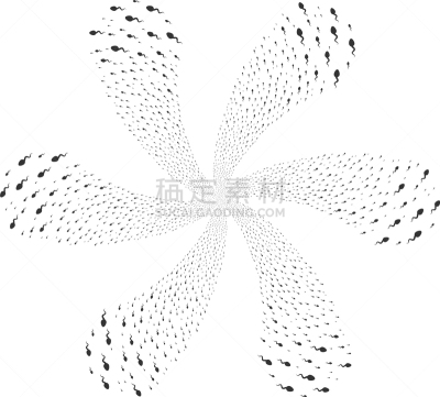 脚踏车,精子,微生物学,卷着的,图像,矢量,卵巢,缠绕