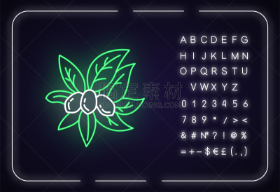 叶子,数字,矢量,巴西,绘画插图,标志,计算机图标,植物学,霓虹灯,荷荷巴