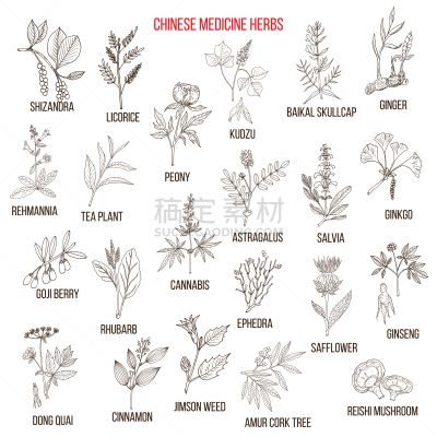 草药,生物学,传统,草红花,健康保健,药,甘草糖,环境,肉桂