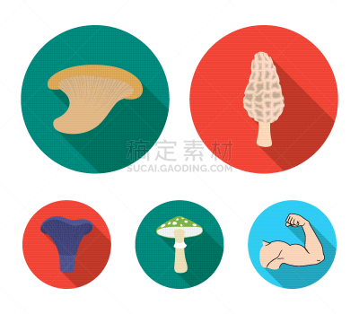 羊肚菌,鹅膏菌,颐堤港,绿色,牡蛎,分离着色,自然,食品,图像,收集
