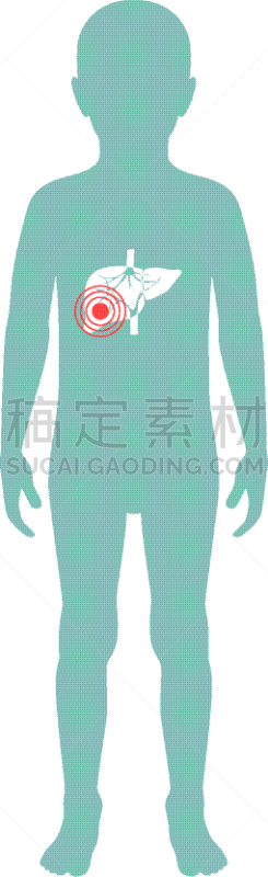 分离着色,肝脏,生物学,健康保健,新陈代谢,胆汁,肝炎,品牌名称,儿童,剪影