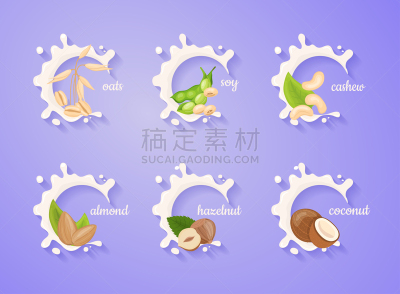 椰子,燕麦,杏仁,植物,牛奶,腰果,大豆,榛子,多样,布置