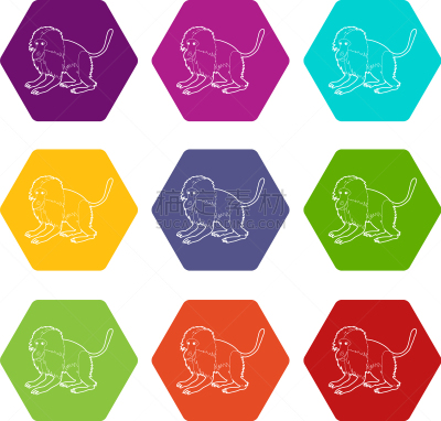 猴子,数字9,狮尾狒狒,计算机图标,插画,可爱的,野生动物,肖像,灵长目,猿