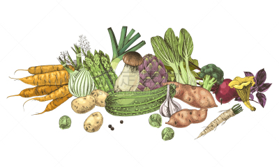 蔬菜,清新,动物手,国境线,生物学,牛肝菌,菜单,胡瓜,韭,食品