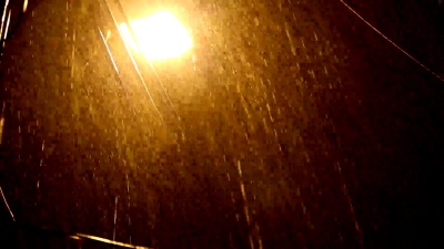 金色暴雨