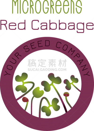 红球甘蓝,种子,式样,红色,清新,健康食物,抗氧化物,维生素,包装,生长