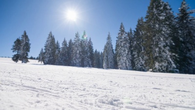 专业越野滑雪者滑冰上山滑雪