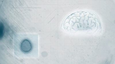 脑部扫描 白色背景数字