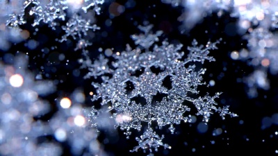 飘落的雪花