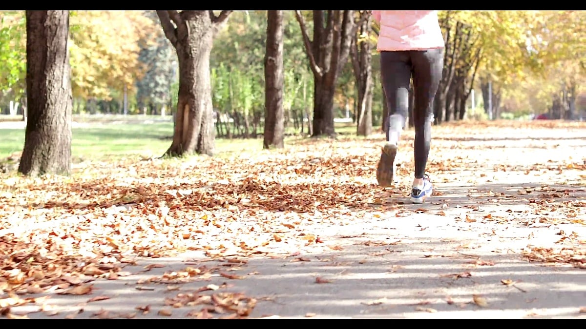 女性跑步公园年轻活跃的健身女性跑步者锻炼户外运动女孩慢跑秋天黄叶树