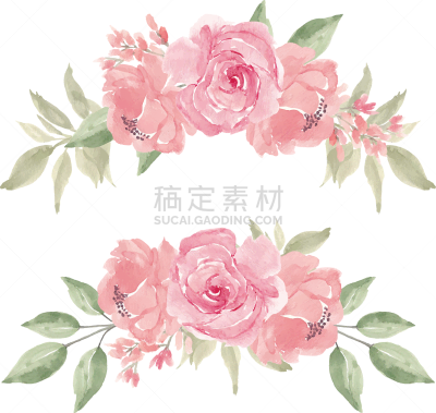 绘画插图,玫瑰,水彩画,布置,插花