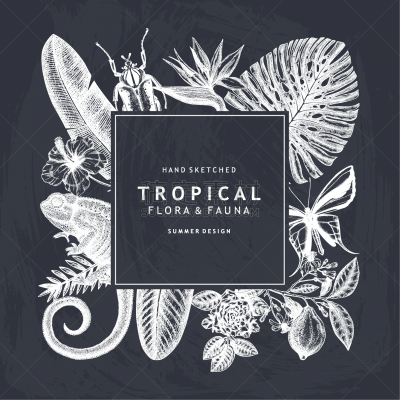 tropical wreath design won chalkboard invitation